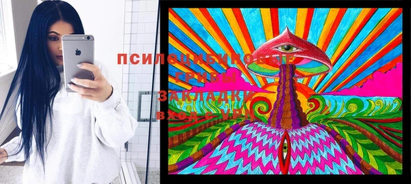 ГАЛЛЮЦИНОГЕННЫЕ ГРИБЫ Алексеевка