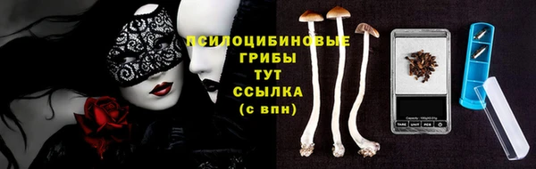 PSILOCYBIN Алзамай