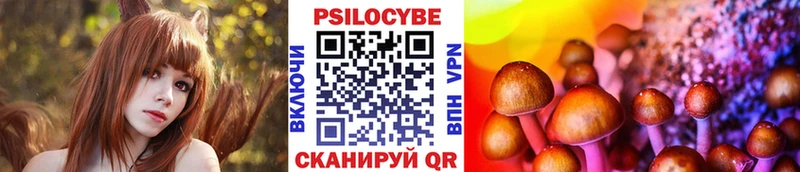 darknet официальный сайт  Новозыбков  Галлюциногенные грибы ЛСД 