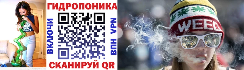 Марихуана Bruce Banner  купить закладку  Новозыбков 